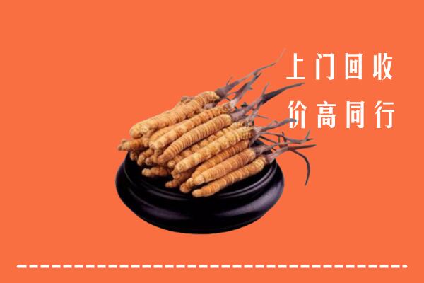 高价求购：绥德县回收散虫草