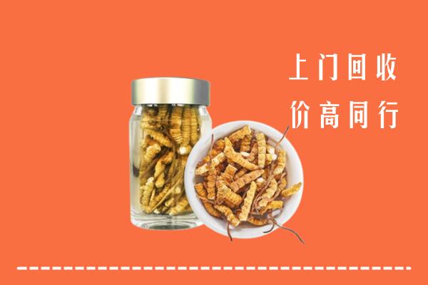 绥德县回收冬虫夏草